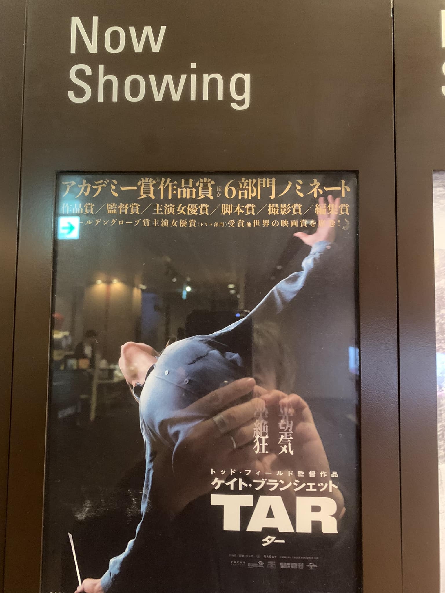 映画「ター」について